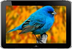 HP ElitePad 900 G1 Tablet vs Primebook 4G Android Laptop
