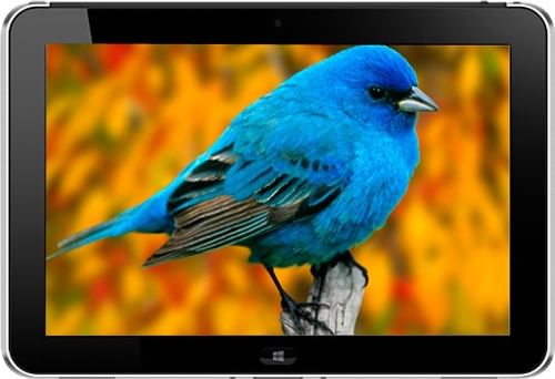 HP ElitePad 900 G1 Tablet (Intel Atom Z2760/2GB/64GB / Intel Graphics Media Accelerator/Win 8 pro)