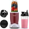 Wonderchef Nutri-Blend Activ 500W Mixer Grinder (2 Jars)