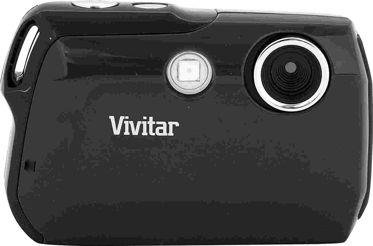 vivitar vivicam f119