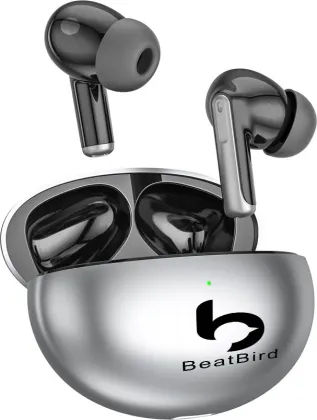 BeatBird Airbird XY70 True Wireless Earbuds