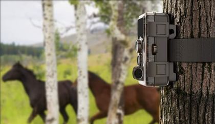SJCAM M50 Hunting Trail Camera