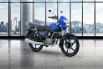 TVS Radeon