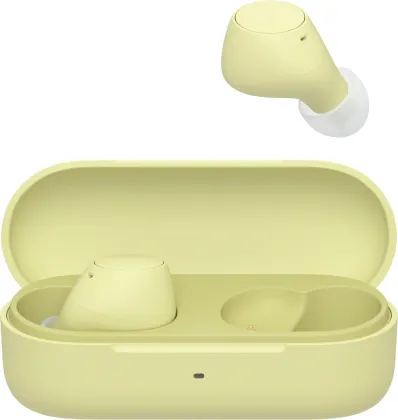 Sony WF-C510 True Wireless Earbuds