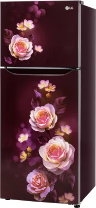 LG GL-N292DSBY 242 L 2 Star Double Door Refrigerator