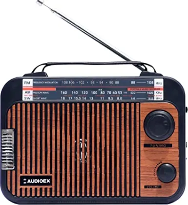 AUDIOEX AX9000 Portable Bluetooth Speaker