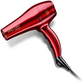 Andis 81005 Professional Tourmaline Ionic Dryer