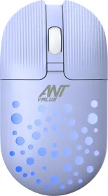 Ant Value FKAPU05 Wireless Mouse