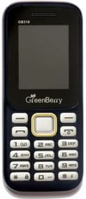 GreenBerry GB310