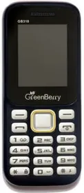 GreenBerry GB310