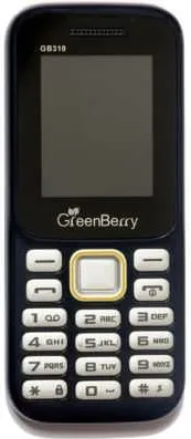 GreenBerry GB310