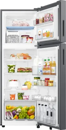 Samsung RT40H30U3T 256 L 3 Star Double Door Refrigerator