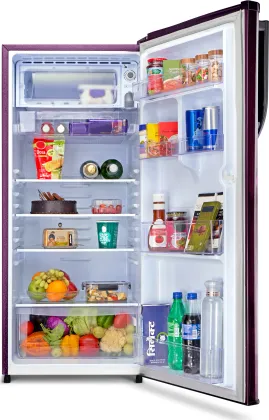 Realme TechLife 205BD2RM23 205 L 2 Star Single Door Refrigerator