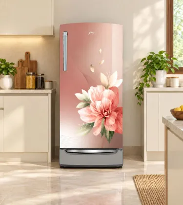 Godrej RD EMARVEL 230EN TDI RS BM 207 L 5 Star Single Door Refrigerator