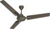 Havells Thrill Decor 1200 mm 3 Blade Ceiling Fan