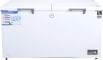 Godrej DH EPenta 525E 2HCN RW 500 L Double Door Deep Freezer