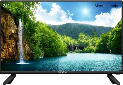 Fly Well 24N 24 inch Full HD LED TV