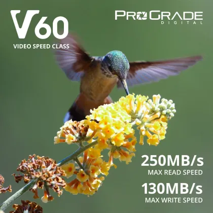 Prograde Digital 250R 256GB SDXC UHS-II Memory Card - image 3