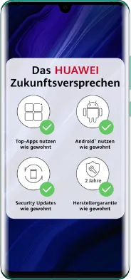 Huawei P30 Pro New Edition