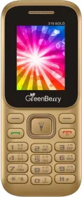 GreenBerry 310 Gold