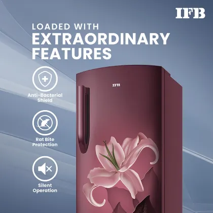 IFB IFBDC-2235DRBED 197 L 5 Star Single Door Refrigerator