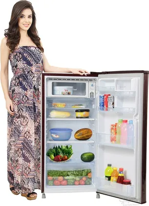 LG GL- D205XSLZ 190 L Single Door Refrigerator