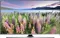 Samsung UA50J5570 (50-inch) 125.7cm FHD Smart LED TV
