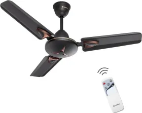 Candes Amaze 900 mm 3 Blade Ceiling Fan With Remote