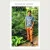 Rahul Vishwakarma