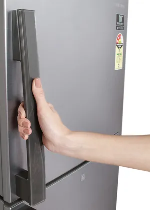 Samsung RT27HAJYASA/T 253 L Double Door Refrigerator
