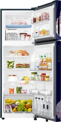 Samsung RT40H30U2BB 256 L 2 Star Double Door Refrigerator
