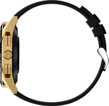 Fire Boltt Invincible Plus Smartwatch