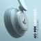 boAt Rockerz 450R Wireless Headphones