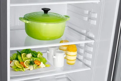 Samsung RR21C2H25S8 189 L 5 Star Single Door Refrigerator