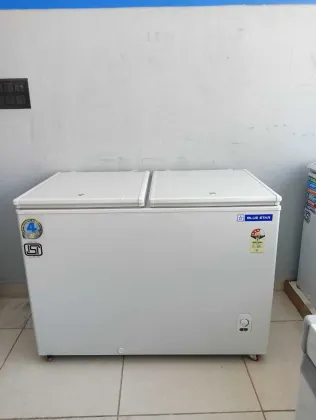 Blue Star CFHDD300MEW 300 L Double Door Deep Freezer