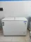 Blue Star CFHDD300MEW 300 L Double Door Deep Freezer