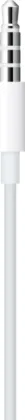 Apple EarPods (3.5mm Headphone Plug)