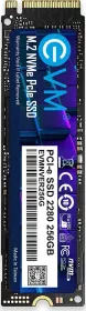 EVM EVMNVER256G 256 GB Internal Solid State Drive