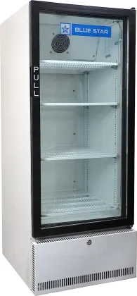 Blue Star SC300F 300 L Glass Door Visi Cooler