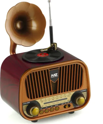 MZ M427SP 5 W Bluetooth Speaker