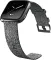 Fitbit Versa Special Edition Smartwatch