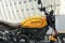 Ducati Scrambler 1100 Tribute Pro