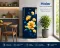 Haier HRD-2051SMFA-N 185 L 1 Star Single Door Refrigerator