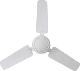 Sameer Pappu 900 mm 3 Blade Ceiling Fan