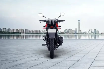 Bajaj Pulsar 125 Neon Single Seat