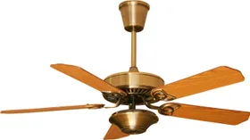 Fanzart Rio 5 Blade Ceiling Fan