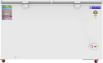 Blue Star CF5-460NEYW 410 L Double Door Deep Freezer