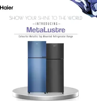 Haier HRF-2902BGI-P 240 L 2 Star Double Door Refrigerator