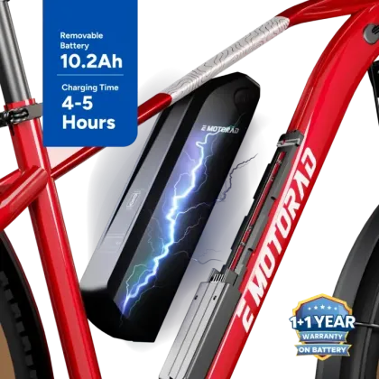 EMotorad T-Rex Air Electric Cycle