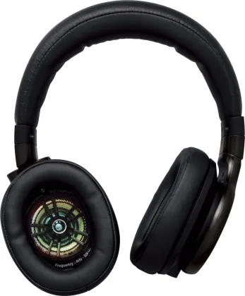 Panasonic RP-HD10 Wired Headphones